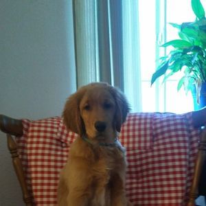 Meet your Posher, Becky